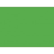 *Krāsains kartons Kreska A1, 270g/m², 1 loksne, Green