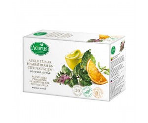 Augļu un zāļu tēja HERBITUM ar Piparmetru un Citronu, maisiņi, 2.5gx20gb