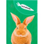 *Klade cietos vākos CFS WILD SPIRIT RABBIT A6 (80)