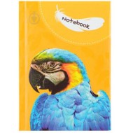 *Klade cietos vākos CFS WILD SPIRIT PARROT A6 (80)